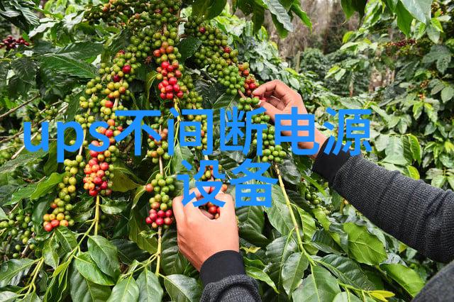 HEYL Testomat 2000PO4正磷酸盐分析仪