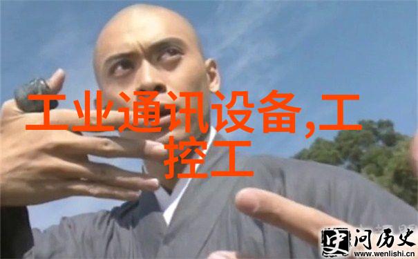 速溶颗粒剂摇摆制粒机
